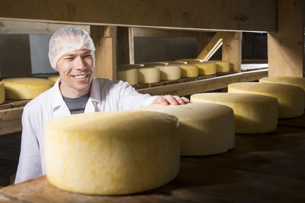 Producing fresh cheese at factory in Russia