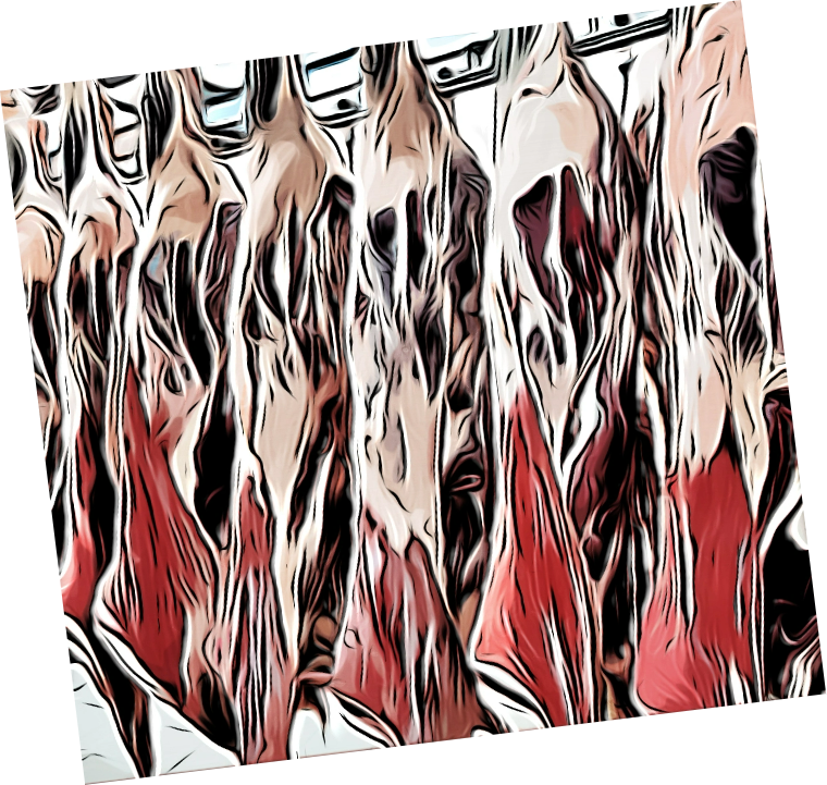 Career Wheel Meat Processing For the Love of Skills