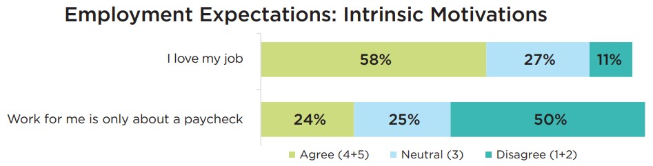 employment expectations intrinsic motivations.jpg