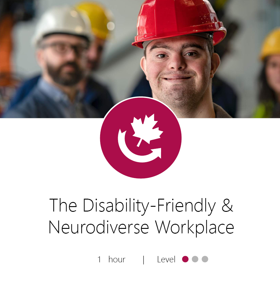 The Disability Friendly Neurodiverse Workplace Product Graphic