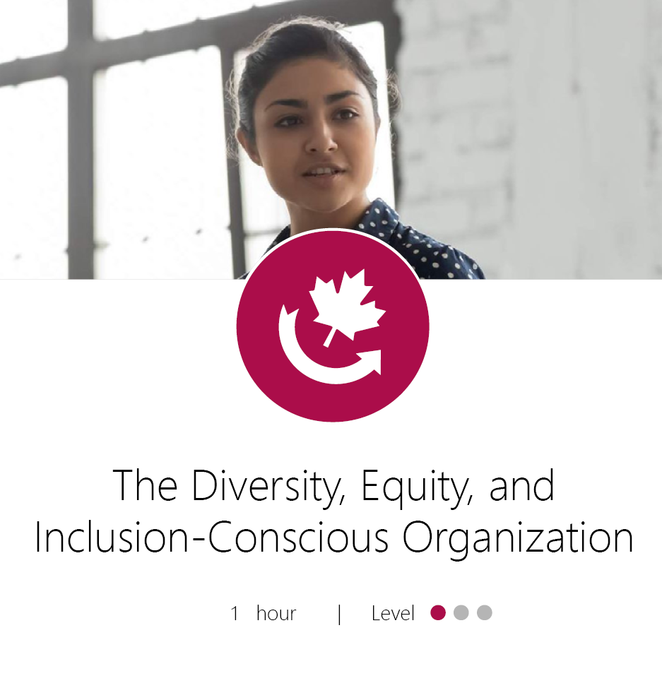 The Diversity Equity and Inclusion Conscious Organization Product Graphic (1)