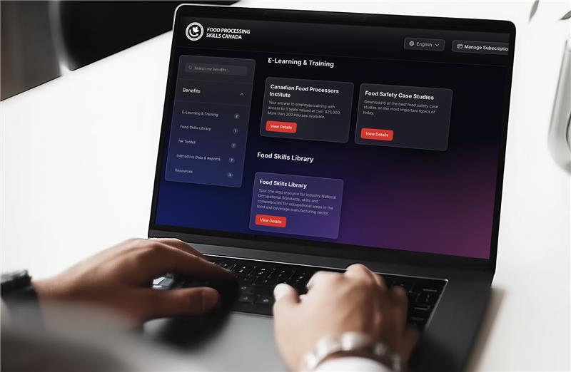 Dashboad laptop