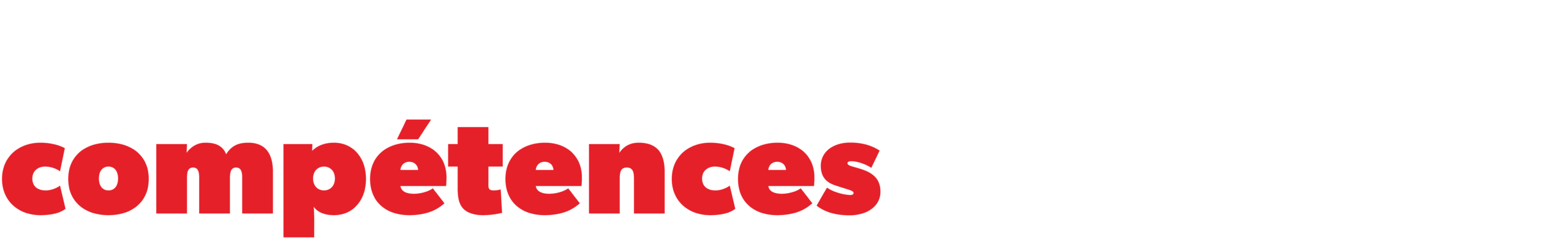 FSL logo fr wht red 1